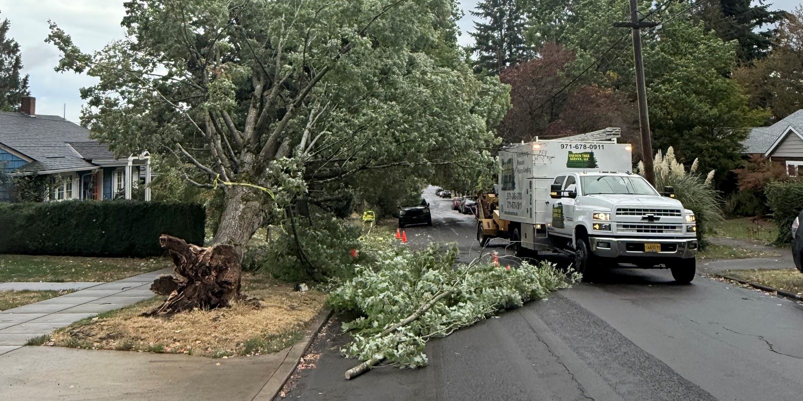 24 Hour Emergency Tree Service