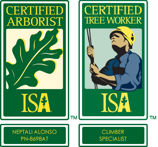 isa-certifications