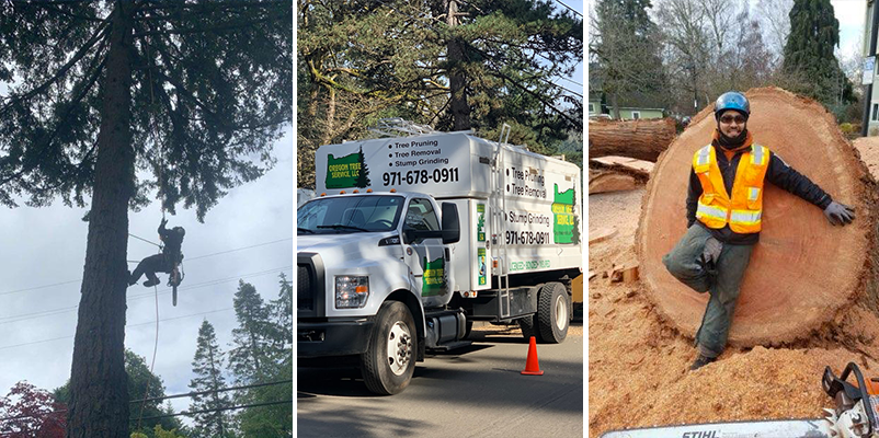 24 Hour Emergency Tree Service